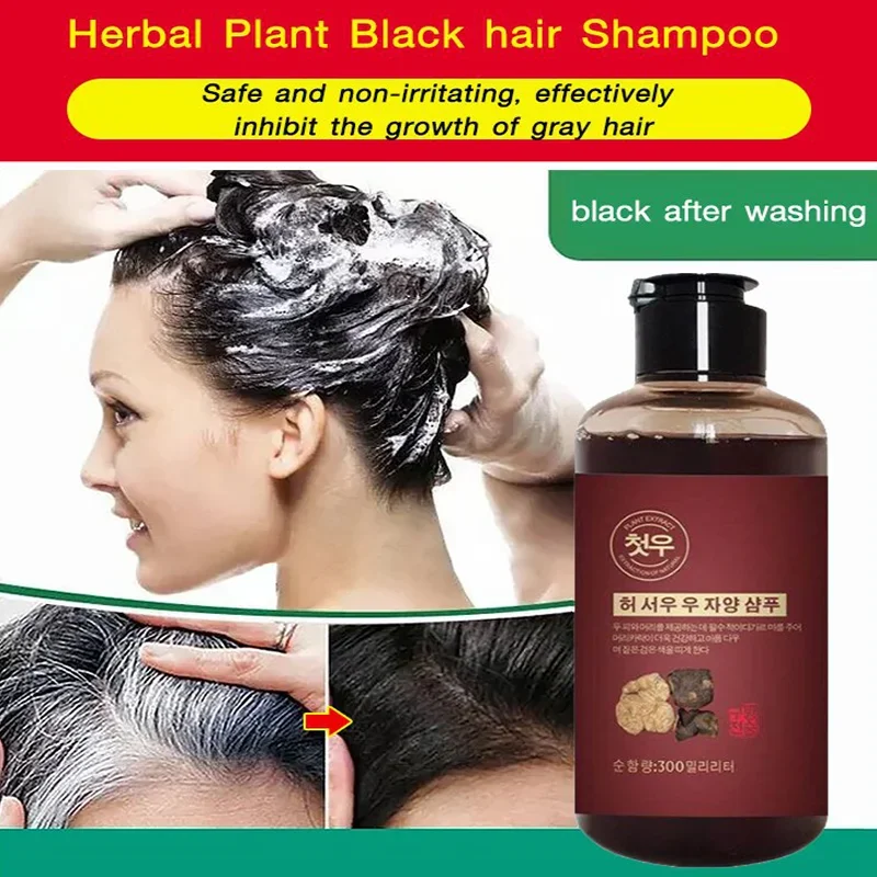 300mL Herbal Shampoo Polygonum - Hair Care Herbal ulasan dan harga